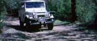 [Image: 497ontherun-landcruiser.jpg]