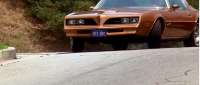 [Image: firebird12.3829.jpg]