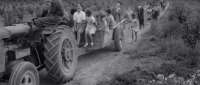 [Image: 38-27tractorb.jpg]