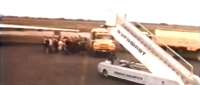 [Image: yellowzil.jpg]