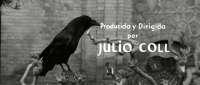 [Image: cuervo2.jpg]