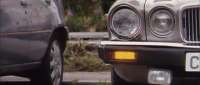 [Image: jaguar004059.jpg]